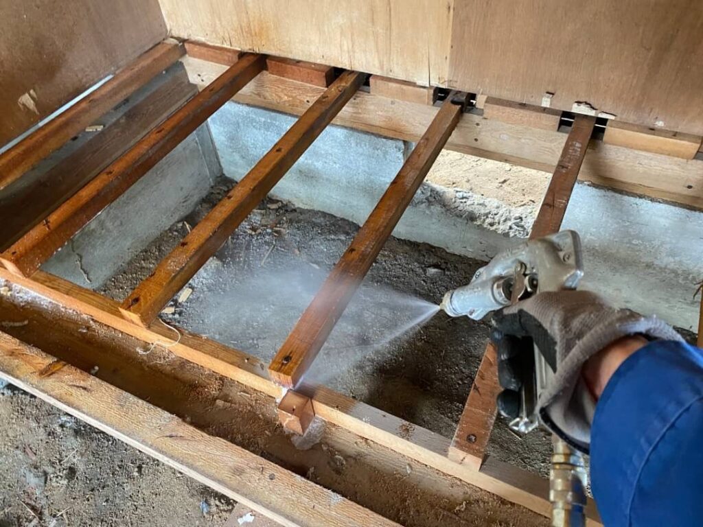駆除・追い出し作業